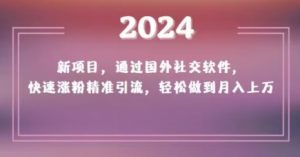 2024新项目，通过国外社交软件，快速涨粉精准引流，轻松做到月入上万【揭秘】-比钱轻创