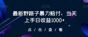 最新野路子暴力赔付，当天上手日收益1000+【仅揭秘】-比钱轻创