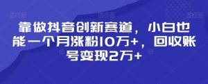 靠做抖音创新赛道，小白也能一个月涨粉10万+，回收账号变现2万+【揭秘】-比钱轻创