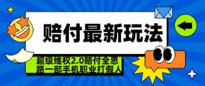 超级维权2.0全新玩法，2024赔付全思路职业打假一部手机搞定【仅揭秘】-比钱轻创