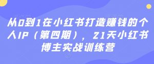 从0到1在小红书打造赚钱的个人IP（第四期），21天小红书博主实战训练营-比钱轻创