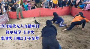 冷门爆款无人直播项目，简单易学上手快，变现快日赚2千不是梦【揭秘】-比钱轻创