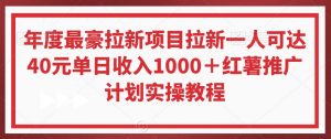年度最豪拉新项目拉新一人可达40元单日收入1000＋红薯推广计划实操教程【揭秘】-比钱轻创