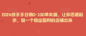 2024拼多多日销0-100单实操，让你迅速起步，做一个稳定盈利的店铺出来-比钱轻创