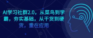 AI学习社群2.0，从菜鸟到学霸，夯实基础，从干货到硬货，重在应用-比钱轻创
