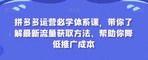拼多多运营必学体系课，带你了解最新流量获取方法、帮助你降低推广成本-比钱轻创