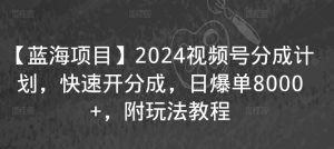 【蓝海项目】2024视频号分成计划,快速开分成,日爆单8000+,附玩法教程-比钱轻创
