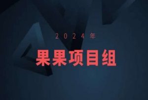 2024年果果项目组项目合集-果果最新项目-比钱轻创