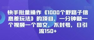 快手批量操作《1000个野路子信息差玩法》的项目，一分钟做一个视频一个图文，不封号，日引流150+【揭秘】-比钱轻创