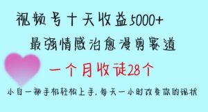 十天收益5000+，多平台捞金，视频号情感治愈漫剪，一个月收徒28个，小白一部手机轻松上手【揭秘】-比钱轻创