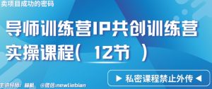 导师训练营3.0IP共创训练营私密实操课程（12节）-卖项目的密码成功秘诀【揭秘】-比钱轻创