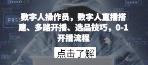 数字人操作员,数字人直播搭建、多路开播、选品技巧,0-1开播流程-比钱轻创