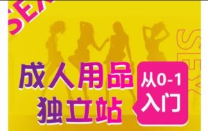 成人用品独立站从0-1入门,成品独立站运营全流程教学,七大好卖成品独立站推荐-比钱轻创