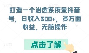 打造一个治愈系夜景抖音号，日收入300+，多方面收益，无脑操作【揭秘】-比钱轻创
