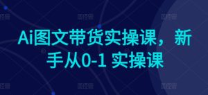 Ai图文带货实操课，新手从0-1 实操课-比钱轻创