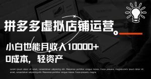 拼多多虚拟店铺运营小白也能月收入10000+【揭秘】-比钱轻创