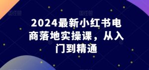 2024最新小红书电商落地实操课，从入门到精通-比钱轻创