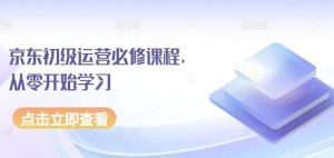 京东初级运营必修课程，从零开始学习-比钱轻创