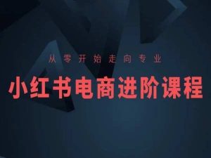从零开始走向专业，小红书电商进阶课程-比钱轻创