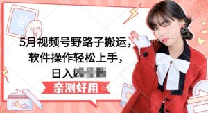 5月视频号野路子搬运，软件操作轻松上手，日入三位数【揭秘】-比钱轻创
