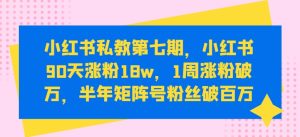 小红书私教第七期,小红书90天涨粉18w,1周涨粉破万,半年矩阵号粉丝破百万-比钱轻创