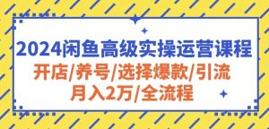 2024闲鱼高级实操运营课程：开店/养号/选择爆款/引流/月入2万/全流程-比钱轻创