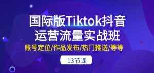 国际版Tiktok抖音运营流量实战班：账号定位/作品发布/热门推送/等等-13节-比钱轻创