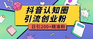 外面收费3980抖音认知圈引流创业粉玩法日引200+精准粉【揭秘】-比钱轻创