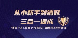 从小新手到销冠 三合一速成：销售3法+非暴力关单法+销售系统挖需课 (27节)-比钱轻创