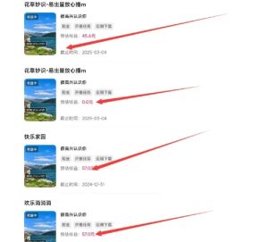 磁力聚星游戏副业陪跑训练营1.0，长期稳定项目，有人一周干了1K+-比钱轻创