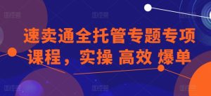 速卖通全托管专题专项课程，实操 高效 爆单-比钱轻创
