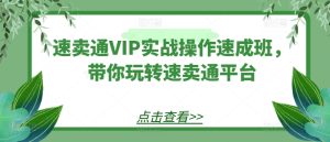速卖通VIP实战操作速成班,带你玩转速卖通平台-比钱轻创