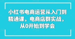 小红书电商运营从入门到精通课，电商店群实战，从0开始到学会-比钱轻创