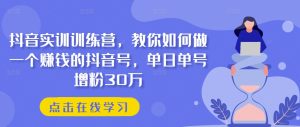 抖音实训训练营，教你如何做一个赚钱的抖音号，单日单号增粉30万-比钱轻创