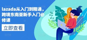 lazada从入门到精通,跨境东南亚新手入门必修课-比钱轻创