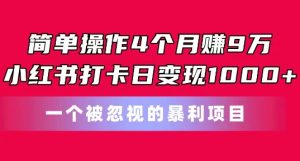 简单操作4个月赚9w,小红书打卡日变现1k,一个被忽视的暴力项目【揭秘】-比钱轻创