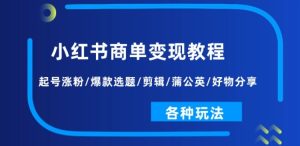 小红书商单变现教程:起号涨粉/爆款选题/剪辑/蒲公英/好物分享/各种玩法-比钱轻创