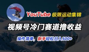 视频号冷门赛道撸收益,YouTube搬运极限运动集锦,暴力起号,操作简单流量高,轻松日入5张【揭秘】-比钱轻创