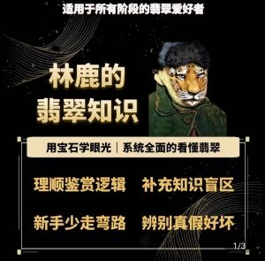 林鹿的翡翠知识,用宝石眼光,系统全面的看懂翡翠-比钱轻创
