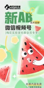 梅花实验室2024年AB技术视频号AB合成破解版-比钱轻创