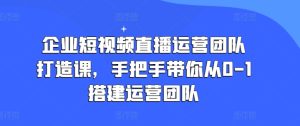 企业短视频直播运营团队打造课，手把手带你从0-1搭建运营团队-比钱轻创