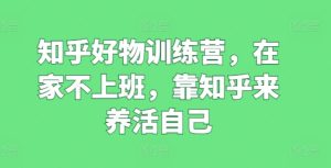 知乎好物训练营,在家不上班,靠知乎来养活自己-比钱轻创