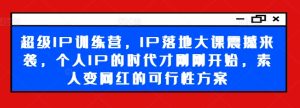 超级IP训练营,IP落地大课震撼来袭,个人IP的时代才刚刚开始,素人变网红的可行性方案-比钱轻创