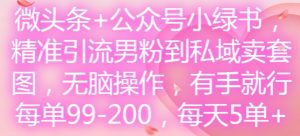 微头条+公众号小绿书,精准引流男粉到私域卖套图,无脑操作,有手就行,每单99-200,每天5单-比钱轻创