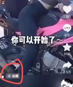 2024年7月苹果手机动图搬运技术-比钱轻创