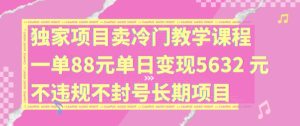 独家项目卖冷门教学课程一单88元单日变现5632元违规不封号长期项目【揭秘】-比钱轻创