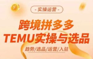 跨境拼多多TEMU实操与选品，多多temu跨境选品运营实操-比钱轻创