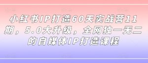 小红书IP打造60天实战营11期,5.0大升级,全网独一无二的自媒体IP打造课程-比钱轻创