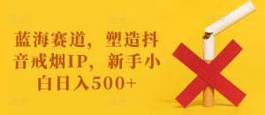 蓝海赛道，塑造抖音戒烟IP，新手小白日入500+【揭秘】-比钱轻创