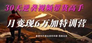 30天逆袭视频带货高手，单月变现6万加特训营-麦子甜-比钱轻创